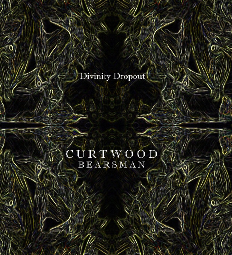 Divinity Dropout album cover