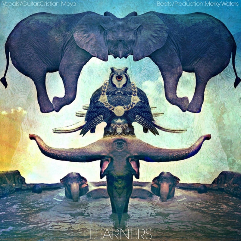 Learners album cover