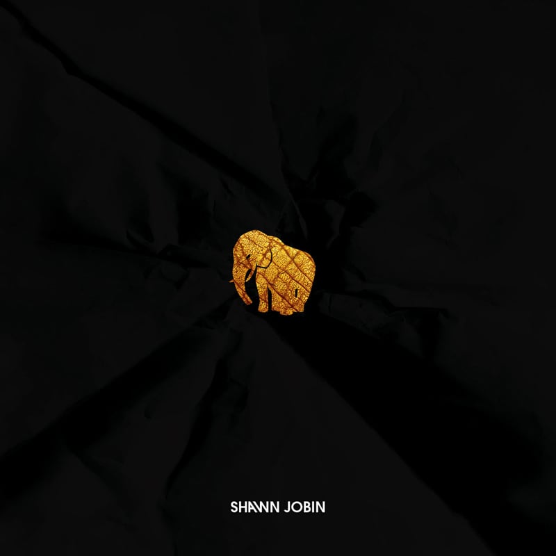 Éléphant album cover