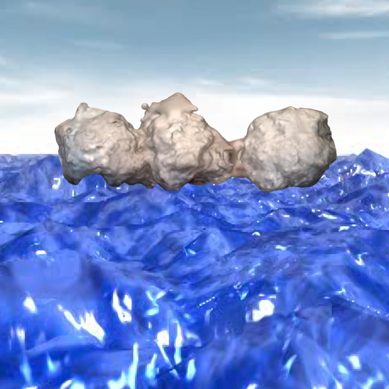 z o a m s album cover