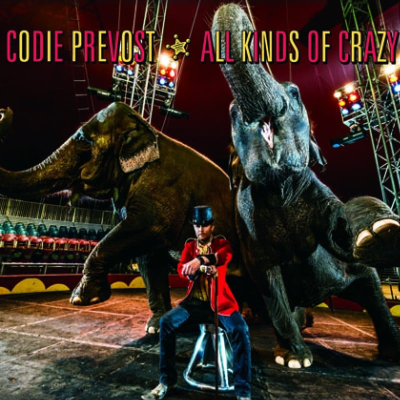 All Kinds of Crazy album cover