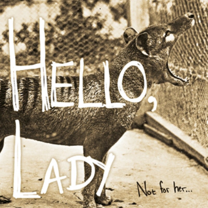 Not For Her album cover