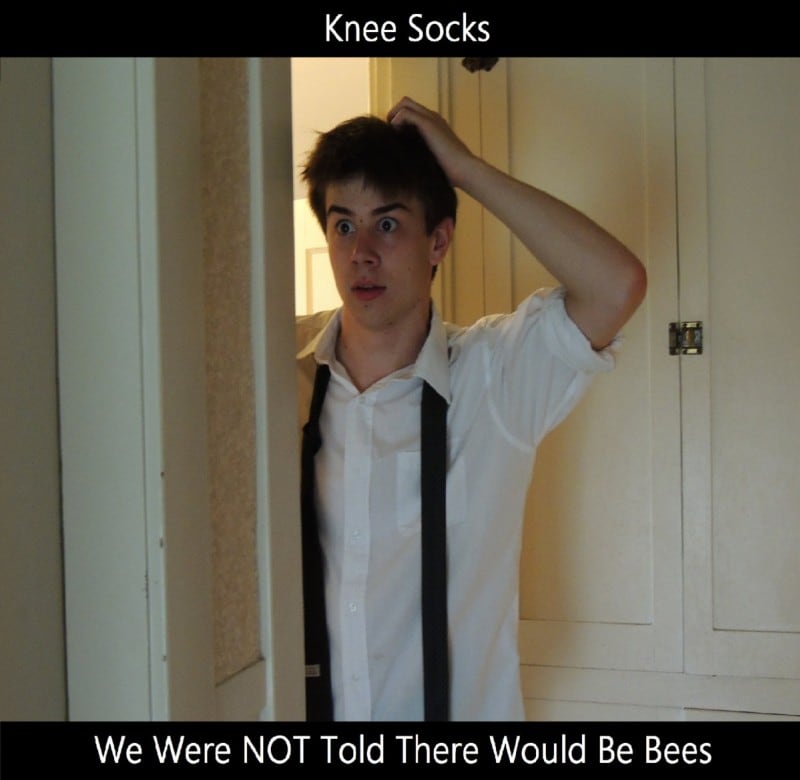 We Were NOT Told There Would Be Bees album cover