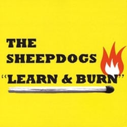Learn & Burn album cover
