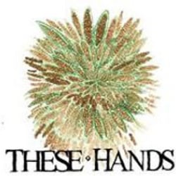 Home Is Everywhere album cover