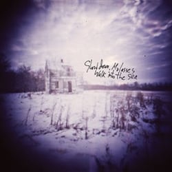 Walk Into The Sea album cover