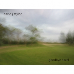 Goodbye Hazel album cover