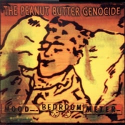 Mood Bedroom Meter album cover