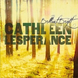 Brilliant Bright album cover