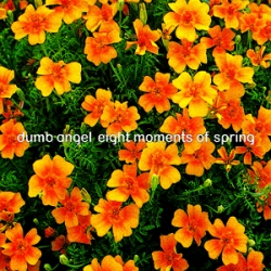Eight Moments of Spring album cover