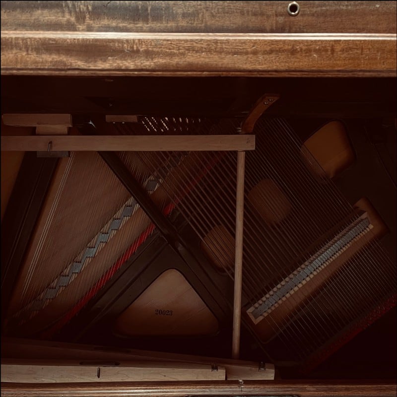 Jesse Brown releases album '20023' on Friday June 16, 2023