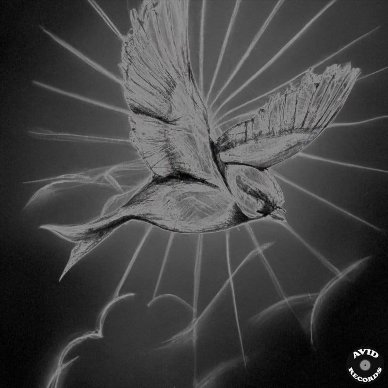 Sparrow, an Album by Young Crow