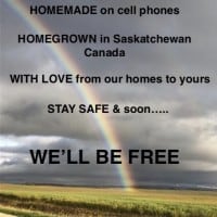 We'll Be Free 2020 - the Isolation Project