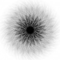 New Album from ‘Factor Eight’ Turns Noise into Music