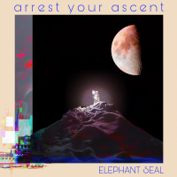 New Album Arrest Your Ascent available December 15th!