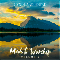 New Album by Cyndi Aarrestad: Made To Worship, Vol 2