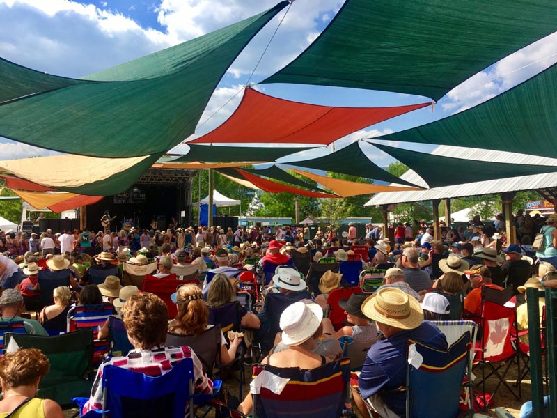 Festival Opportunity - Salmon Arm Roots & Blues Festival